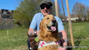 'Vandals destroyed the memorial tree I planted for my guide dog - I'm heartbroken'