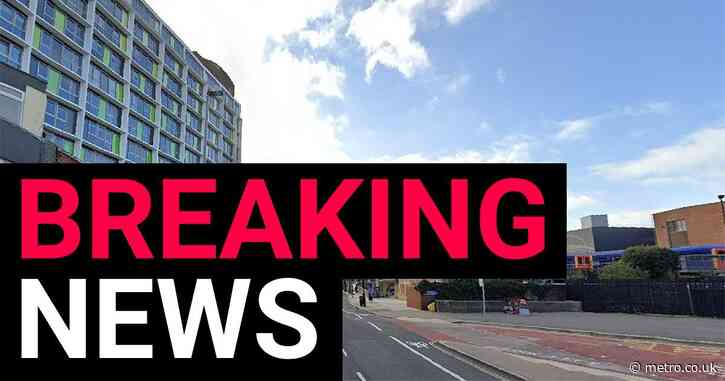 Bus driver arrested after schoolboy, 14, killed in Portsmouth harbour crash