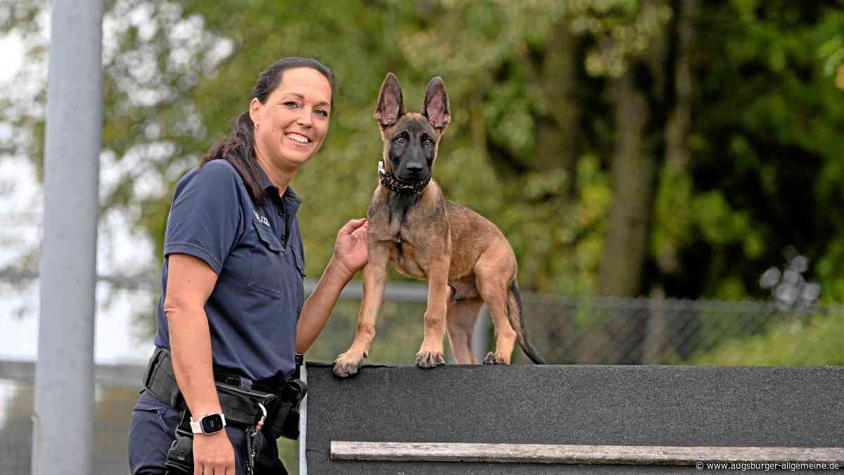 Dieser Polizist bellt auf Kommando: Wie Schäferhund Snorre zum „Beamten“ auf vier Beinen wird