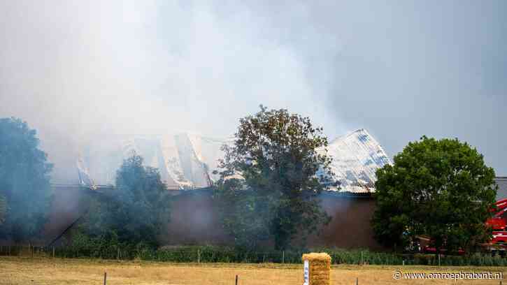 Brandweer laat stal in Zevenbergen uitbranden, stieren niet meer te redden