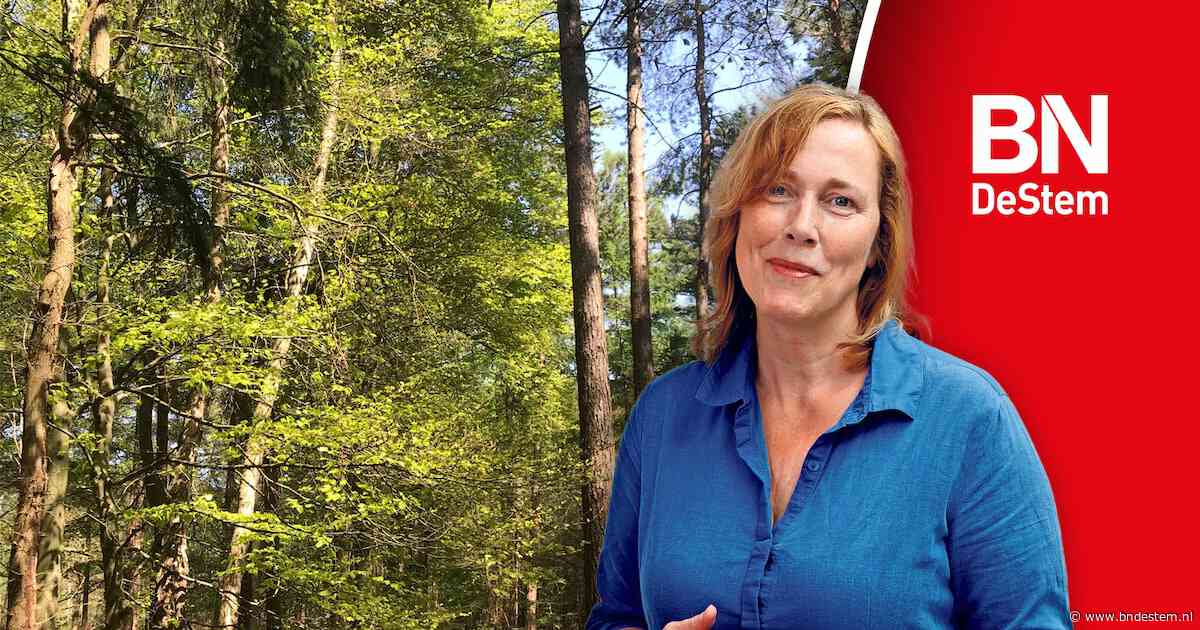 Ik baal ervan dat ik niet alleen het bos in durf