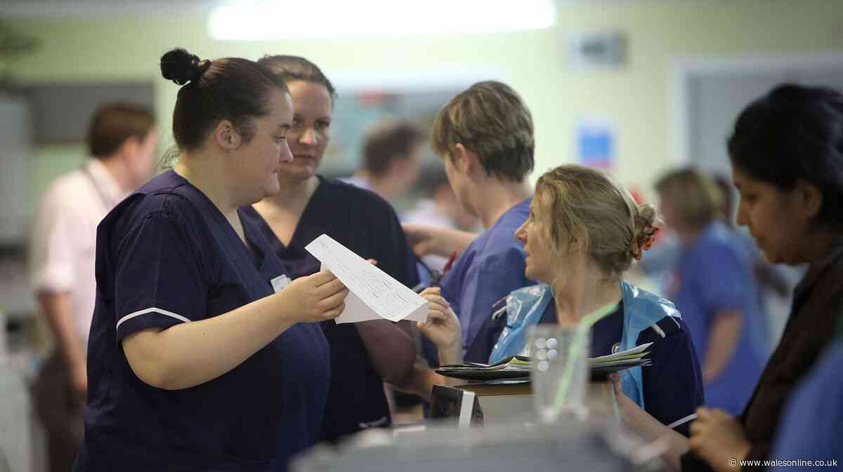 Heatwaves drive record-breaking pressure on hospitals in Wales