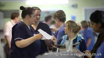 Heatwaves drive record-breaking pressure on hospitals in Wales