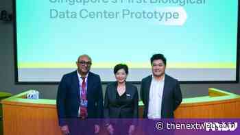 A data centre rack running on living neurons is now operating in Singapore