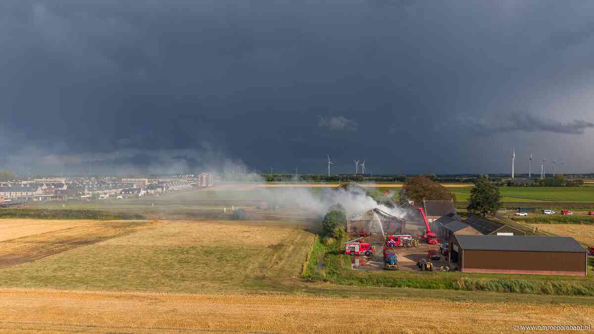 Vijf stieren omgekomen bij stalbrand in Zevenbergen, dak deels ingestort
