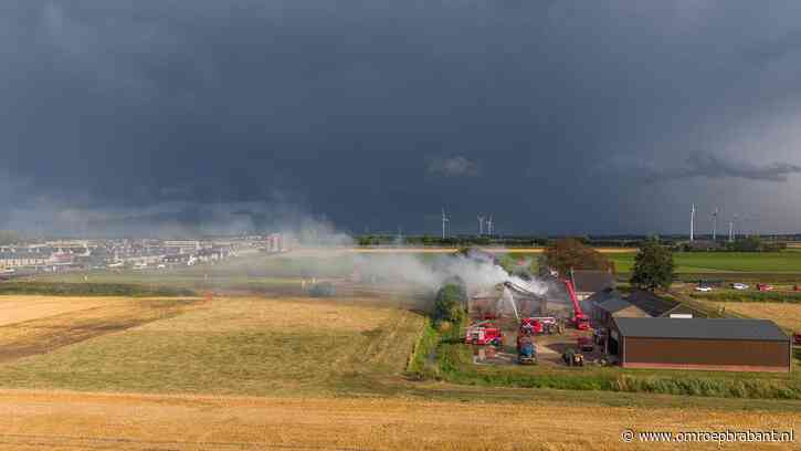 Vijf stieren omgekomen bij stalbrand in Zevenbergen, dak deels ingestort