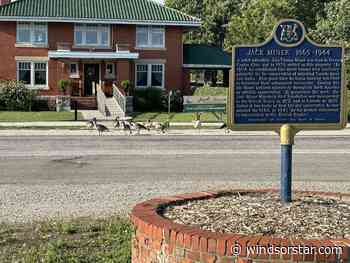 Jack Miner seeks slower traffic as geese killed crossing Kingsville road