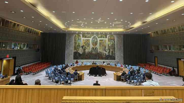 UN Security Council ‘emergency’ meetings have become political tool against Israel, Danon says