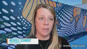 Nichole Schmidt, mother of Gabby Petito, set to speak at Advocacy Con in Albuquerque