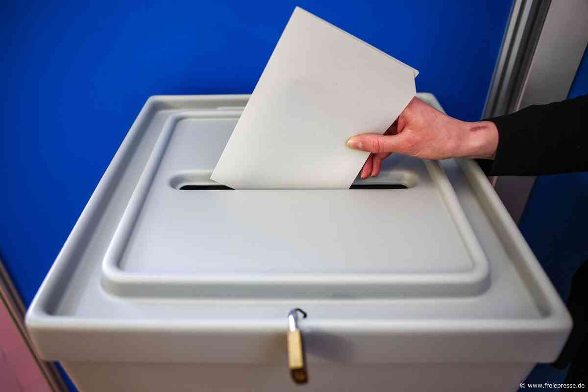 Bürgermeisterwahl in Wilkau-Haßlau am Sonntag: Was Wähler wissen müssen