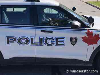 Windsor woman charged with assault of two young boys at their lemonade stand