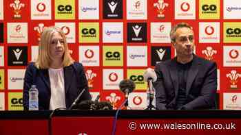WRU promises to publish evidence behind decision to scrap west Wales club