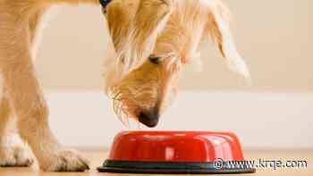 Dog food company recalls fresh meals amid reports of sudden dry eye