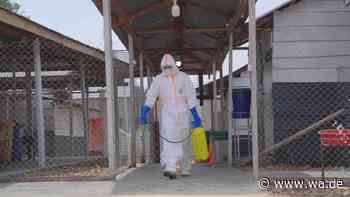 Ebola-Fieber breitet sich unkontrolliert aus – sieben neue Zonen betroffen