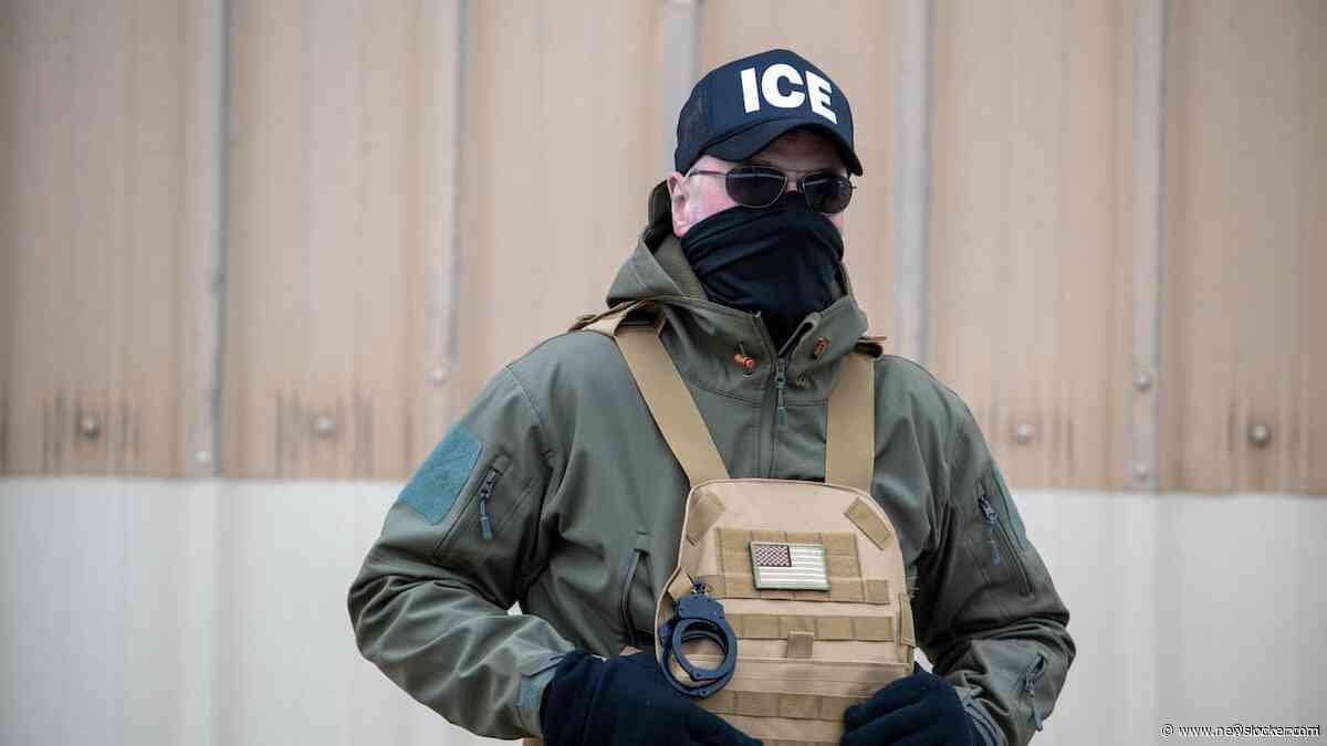 Immigratiepolitie ICE werkte vorig jaar samen met Iran om Iraniërs te deporteren