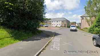 Three children arrested after woman 'sexually assaulted' in Cornwall
