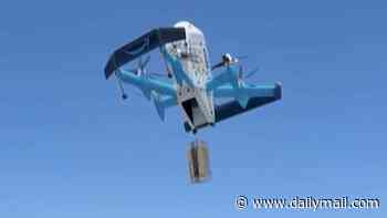 Amazon shopper outraged by dystopian drone delivery that went DISASTROUSLY wrong