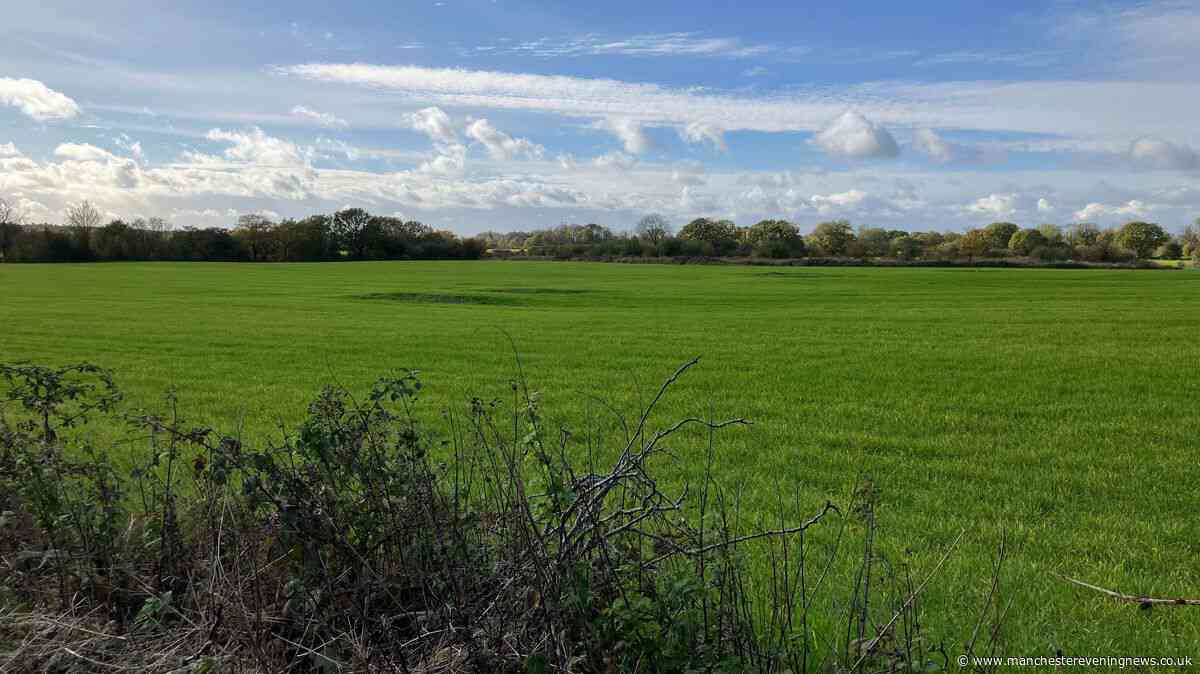 The fight to save Wigan’s greenbelt from concrete jungles may have just been won