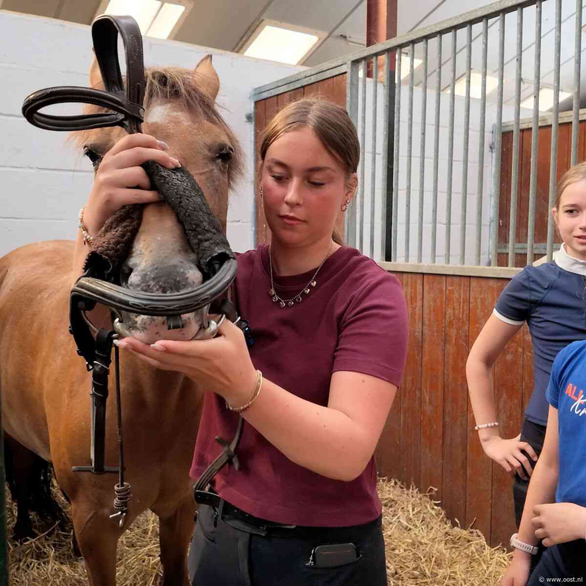 Loïs (17) kiest voor paarden in plaats van salaris: 'Voelt als tweede thuis'