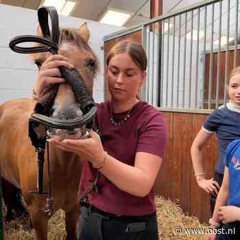 Loïs (17) kiest voor paarden in plaats van salaris: 'Voelt als tweede thuis'