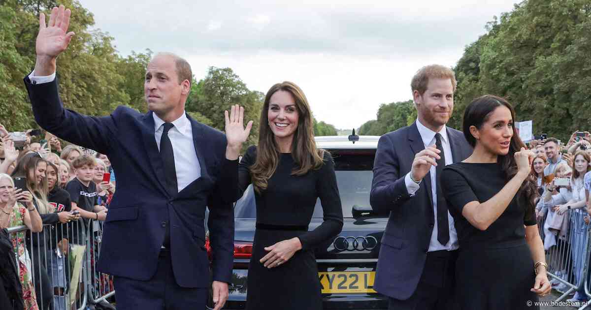 Hoe Harry en Meghan de Britten weer voor zich kunnen winnen: ‘Niks doen, heel lang niks doen’