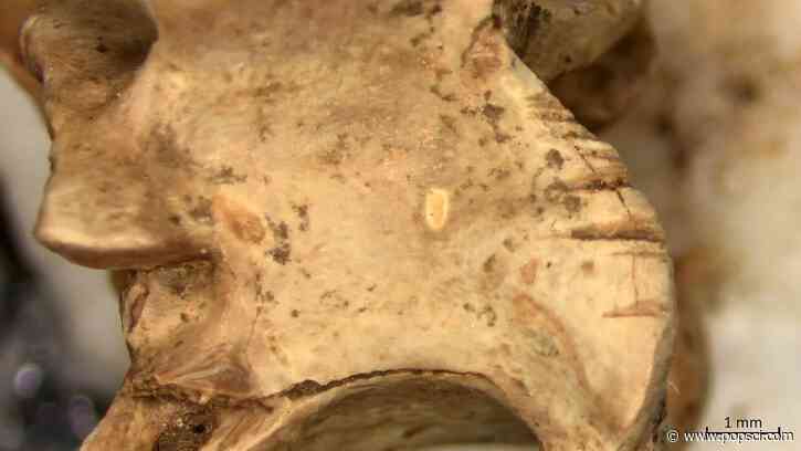 15,000 years ago, desert dwellers dined on snakes and lizards