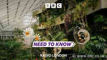 Barbican Conservatory closure - how to take plants home