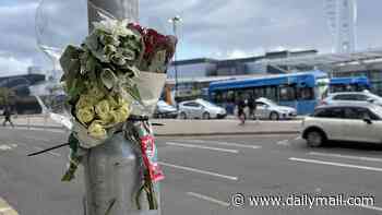 Boy, 14, is dead after being hit by a bus in Portsmouth: Driver is arrested