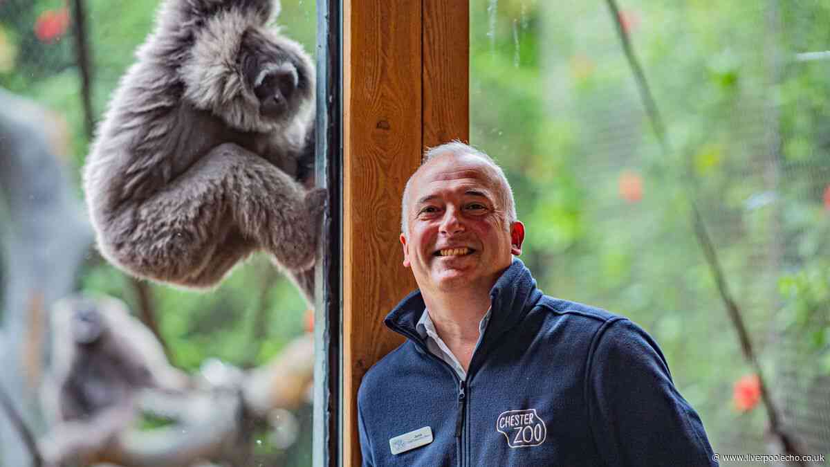 Chester Zoo boss slams new plans saying 'once it’s gone, it’s gone forever'