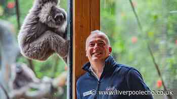 Chester Zoo boss slams new plans saying 'once it’s gone, it’s gone forever'