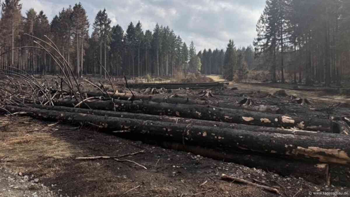 Nordrhein-Westfalen: Waldbrand in Hürtgenwald bei Aachen endgültig gelöscht