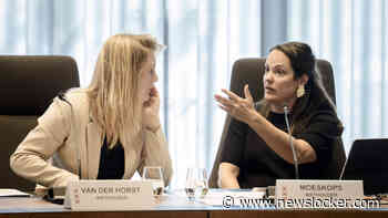 Amsterdamse D66-wethouder onder vuur om stilgehouden miljoenentegenvaller: ’Problematisch en onbegrijpelijk’