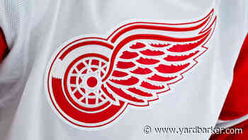 Red Wings Make Trade for Intriguing 23-Year-Old Forward