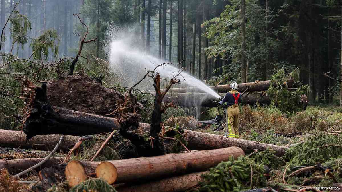 Natuurbrand in Hoge Venen volledig onder controle, zeldzame korhoen gered
