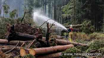 Natuurbrand in Hoge Venen volledig onder controle, zeldzame korhoen gered