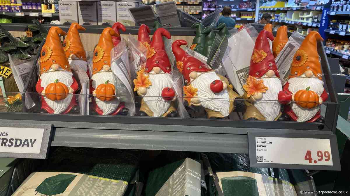 I went to Lidl's Middle Aisle and found the perfect autumn garden décor for under £5