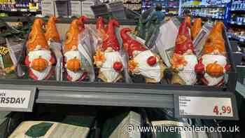 I went to Lidl's Middle Aisle and found the perfect autumn garden décor for under £5