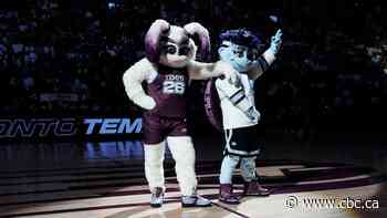 'NOT it': Some fans cry foul over new Toronto Tempo mascots