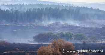 Grote brand in België overal onder controle, zeldzame korhoenhaan uit verwoest natuurgebied gered