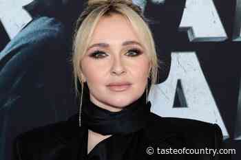 Director Says Hayden Panettiere's Team Considered an Intervention
