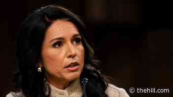 Gabbard shares emotional update on husband’s cancer months after White House exit