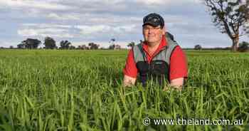 Modernised the farm but being left behind by government policy