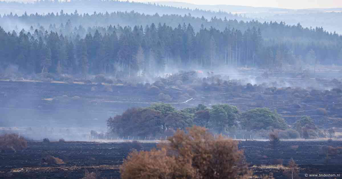 Grote brand in België overal onder controle, zeldzame korhoenhaan uit verwoest natuurgebied gered
