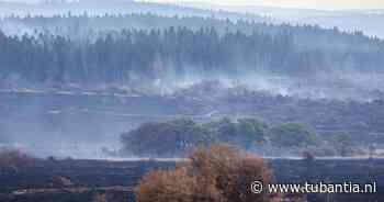 Grote brand in België overal onder controle, zeldzame korhoenhaan uit verwoest natuurgebied gered