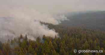 Activity picks up on the Bald Range wildfire near Summerland, Peachland