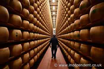 Is Italy’s Parmigiano Reggiano cheese really melting because of the heat wave? Social media claim, explained