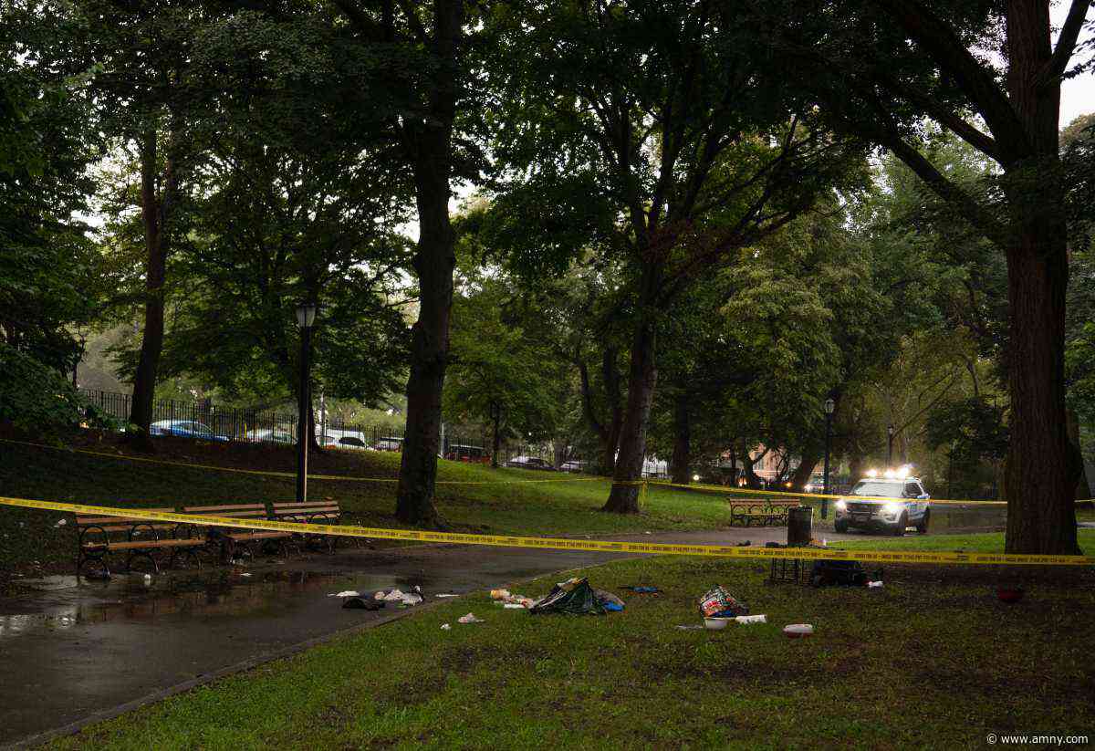 Mother stabbed to death in Brooklyn park after she denied her attacker sex: police