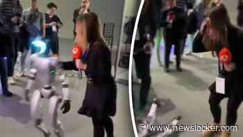 Verslaggeefster slaat per ongeluk robot knock-out