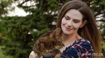 Stranger launches cat room fundraiser to honour highway shooting victim