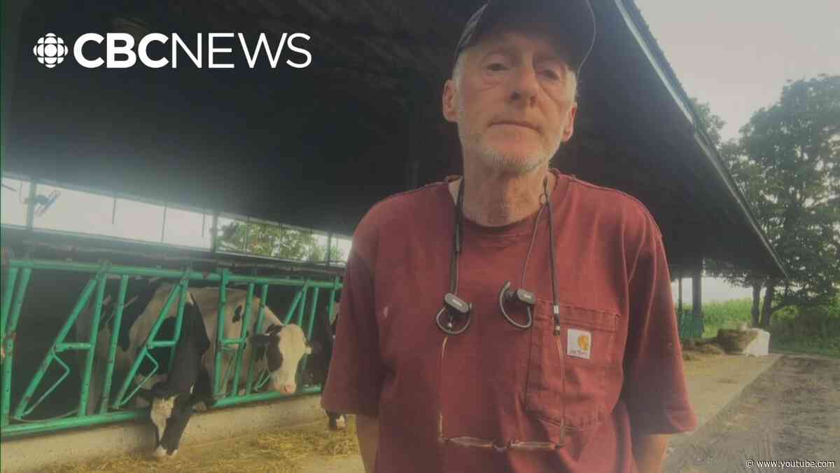 Quebec dairy farmer concerned about possible quota concessions in U.S.-Canada trade deal